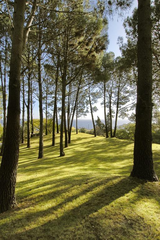 Hotel Del Lago Golf & Art Resort Punta Ballena Exterior foto